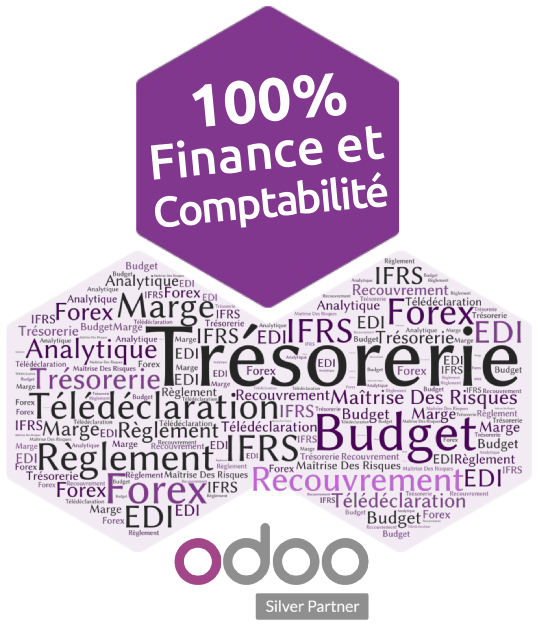 Télédéclarations SIMPL-IS avec Odoo